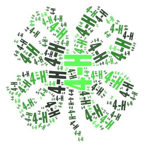 4-H